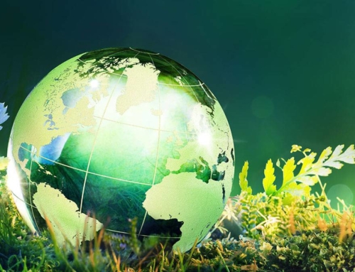 Earth Day – Our Green vision